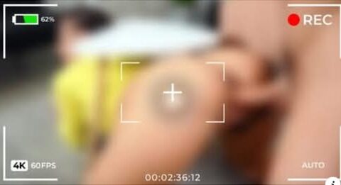 Lemoncams Insights 2025 Highlights Live Camera