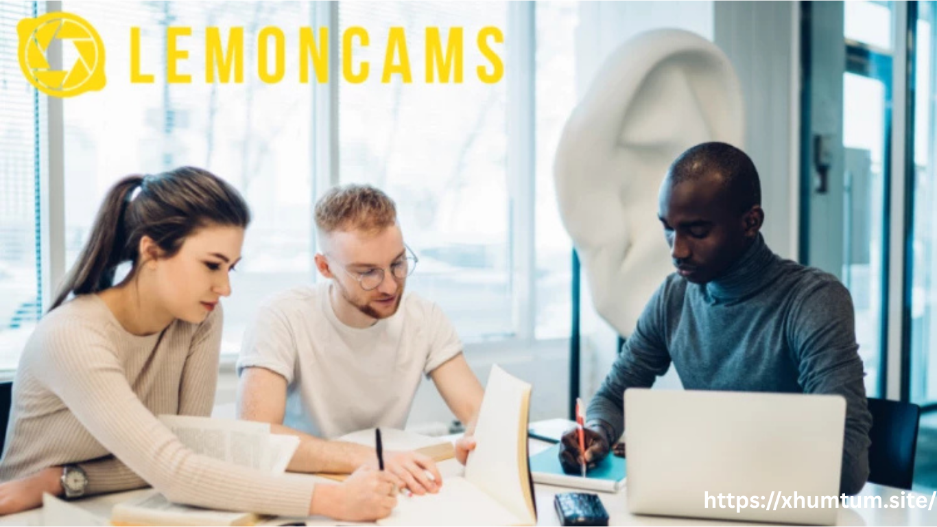 LemeonCams Guide For Beginners